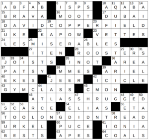 New York Times Crossword Answers Thursday November 21st 2024